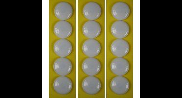 Benson ronde koelkast / whiteboard magneetjes - 15x stuks - wit