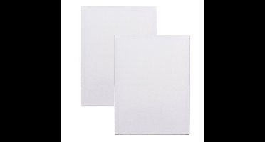 Benson Schildersdoek - 2x - 18x24 cm - blanco canvas - katoen - 280gr