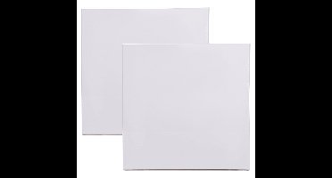 Benson Schildersdoek - 2x - 30x30 cm - blanco canvas - katoen - 280gr