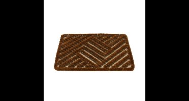 Benson Schoenen borstelmat - bruin - 40x60 cm - deurmat/schoenenveger