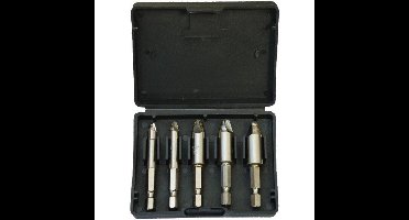 Benson Schroef-verwijder-set - 5 bitjes - diverse maten