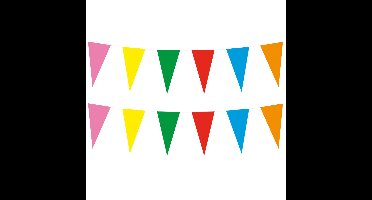 Boland feestvlaggetjes - 2x - Papier - vlaggenlijn multi kleuren - 10m