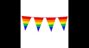 Boland PE vlaggenlijn - 8m - Regenboog - Universeel Thema