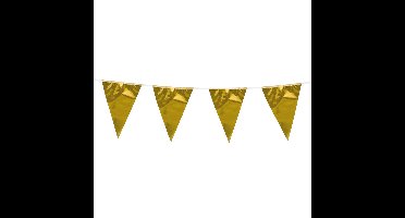 Boland Vlaggenlijn - goud - 10 meter - vlaggentjes