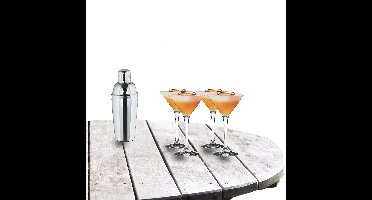Cocktailshaker set met 4x stuks Martini cocktailglazen 250 ml