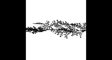 Cosy & Trendy Kerstslinger - zwart - 180 cm - glitter - kunststof
