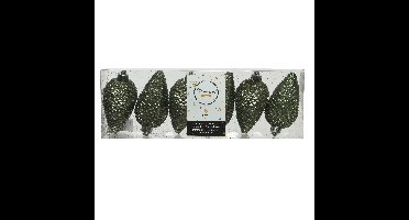 Decoris Kersthangers dennenappels - 6x st - mosgroen - glitter - 8 cm