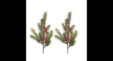 Decoris kersttak - 2x - groen met bes - 36 cm - voor kerststukjes