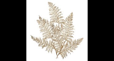 Decoris Kunstplant tak varen - 3x - goud - 80 x 30 cm - kunststof