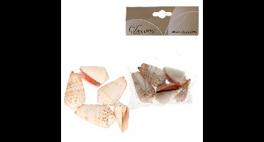 Decoris namaak schelpen - 5x zakjes - nep zeeschelpen - zeeslak - 4 cm