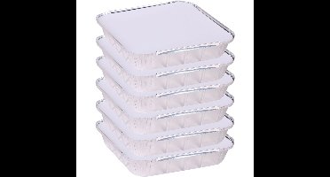 Elite Meal prep bewaar bakjes - Aluminium - 6x - 25 x 25 x 5 cm - met deksel