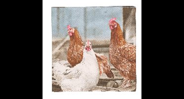Esschert Design Pasen thema servetten - met kippen print - 60x stuks