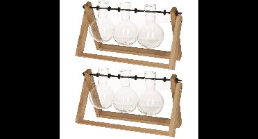 Esschert Design Stekvaasjes in houder - 2x - 3 vaasjes - stekstation