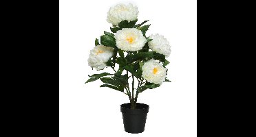 Everlands pioenroos in pot kunstbloem - H57 cm - wit