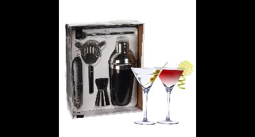 Excellent Houseware cocktails maken set 5-delig met 4x Martini glazen