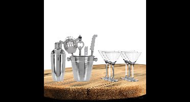 Excellent Houseware cocktails maken set 6-delig met 6x Martini glazen