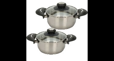 Excellent Houseware Kookpannen set - 2x - glazen deksel - RVS - 2.7 en 5.4 liter