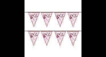 Folat geboorte vlaggen slinger - 2x - geboorte meisje - 6 mtr - versiering