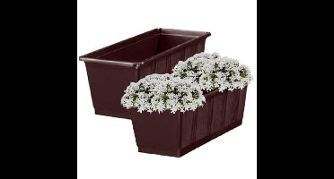 Geli Plantenbak/bloembak - 2x - bruin - rechthoekig - 60 cm