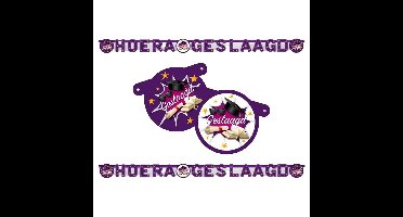 Haza Letterslinger geslaagd thema - 2x - paars/wit - karton - 170 cm - examenfeest versiering