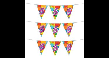 Haza Vlaggenlijn 6 jaar - 3x - 10 meter - plastic -6e verjaardag versiering