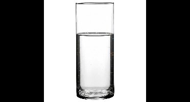 Home & Styling Bloemenvaas - Cilinder - transparant - glas - 12 x 30cm