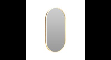 H&S Collection Spiegel - ovaal - aluminium - goud - 30 x 60 cm