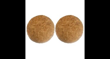 Inlegvel kokos voor hanging basket - 2x - 30 cm