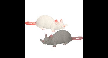 John Toy - Speelgoed/Halloween decoratie ratten - 2x stuks - Kunststof - In 2 kleuren van 28 cm