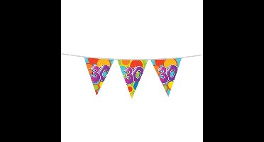 Leeftijd verjaardag thema vlaggetjes 30 jaar plastic 10 meter