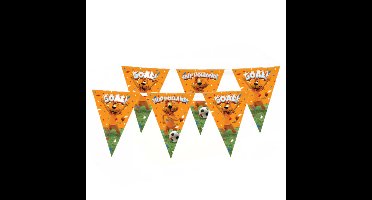 Loeki de Leeuw Hup Holland vlaggenlijn 2x oranje 10 meter