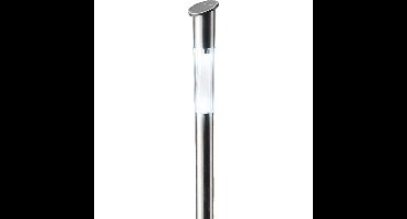 Lumineo Tuinfakkel Bodi - solar - RVS - koel wit - 57 cm