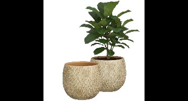 Mica decorations Bloempot Madeira - 2x - creme - terracotta - 14 cm