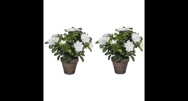 Mica Decorations Kunstplant - 2x - Azalea - groen/wit - 27 cm