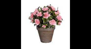 Mica Decorations Kunstplant - Azalea - Perzik - in pot - 31 cm