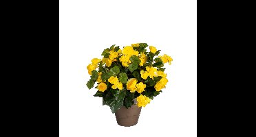 Mica Decorations Kunstplant - begonia - geel - in pot - 37 cm