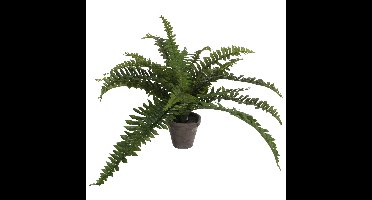 Mica Decorations Kunstplant - varen - groen - in pot - 45 x 35 cm
