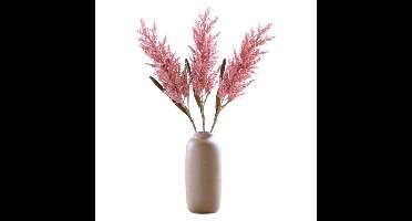 Mica Decorations Pampasgras pluim losse tak - 3x - oudroze - 88 cm