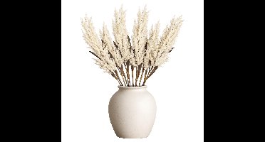 Mica Decorations Pampasgras pluim losse tak - 8x - wit - 88 cm