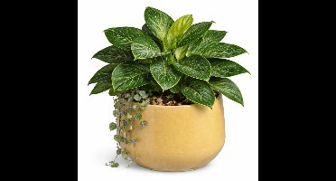 Mica Decorations plantenpot Venice - beige - D22 x H18 cm
