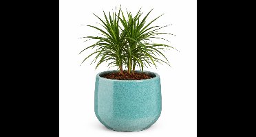 Mica Decorations plantenpot Venice - blauw - D22 x H18 cm