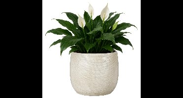 Mica Decorations Plantenpot - wit - glans ribbel - D21 x H22 cm