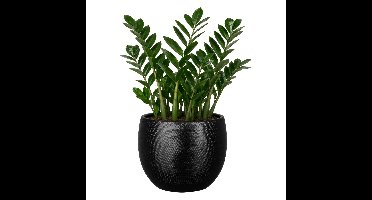 Mica Decorations Plantenpot - zwart - glans ribbel - D21 x H22 cm