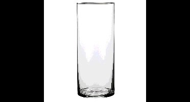 Mica Decorations Vaas - cilinder - glas - 12 x 25 cm - Bloemenvaas