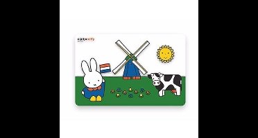 Placemats Nijntje in het weiland - 3x - 44 x 29 cm - Ontbijt/diner