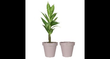 Pro Garden Bloempot - 2x - taupe - rond - D50 cm - kunststof