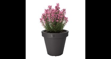 Pro Garden Bloempot - antraciet - rond - D25 cm - kunststof