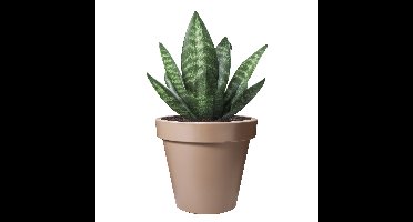Pro Garden Bloempot - mokka bruin - rond - D25 cm - kunststof