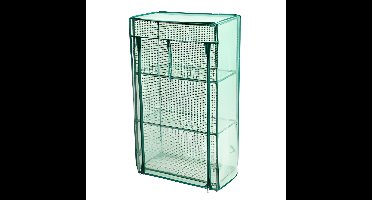 Pro Garden broeikas/kweekkas - 80 x 46 x 24 cm - groen/transparant