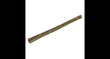 Pro Garden Plantenstokken - 10x - bamboe - H60 cm - plantensteun